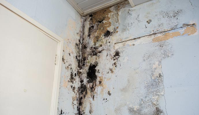 structural water damage causing mold growth on the interior walls of a property