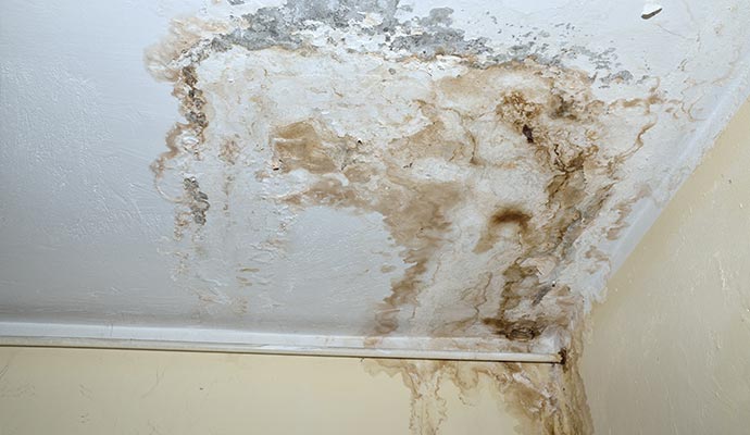 water leak and mold on white ceiling